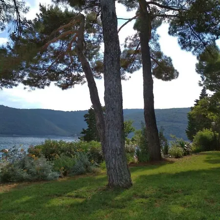 Teta Koka Apartment Rabac